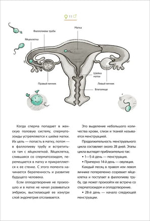 Как меняется мое тело. Все, что нужно знать мальчикам о перех.возрасте Printed books Росмэн Издательство