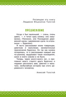 Золотой ключик, или Приключения Буратино. Все самое лучшее у автора Printed books АСТ