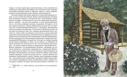 Золотой жук. По Э.А. Printed books МАХАОН