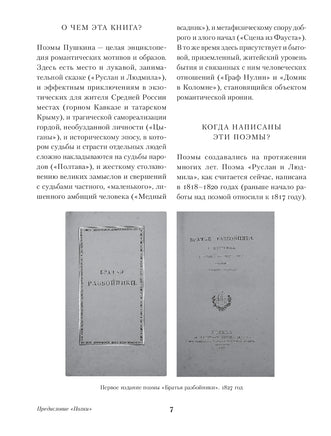 Медный всадник. Поэмы. А. Пушкин Printed books Альпина