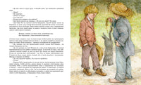 Приключения Тома Сойера. Твен М. Printed books МАХАОН