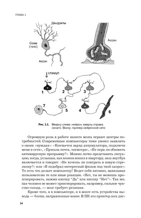 Мозг и его потребности. 2.0 от питания до признания Printed books Эксмо