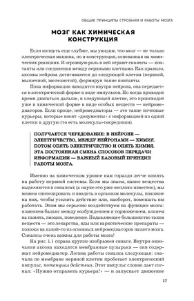 Мозг и его потребности. 2.0 от питания до признания Printed books Эксмо
