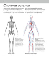 Анатомия человека. Визуальный гид по всем системам организма: норма и патологии
