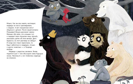 Тайная миссия Плюшевого Мишки Printed books Нигма