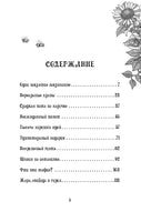 Петронелла и злой пекарь. Штэдинг С. Printed books Питер