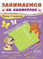ЗАНИМАЕМСЯ НА КАНИКУЛАХ. Перед 1 классом print books Стрекоза Издательство