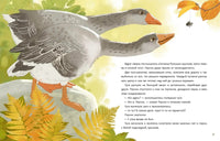 Перелётный Паучок. Н. Свестен Printed books Нигма