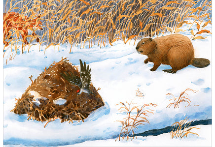 Миллион орехов! Лесной детектив Printed books Нигма