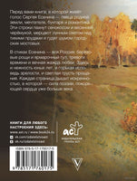 Заметался пожар голубой. С. Есенин Printed books АСТ