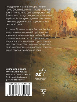 Заметался пожар голубой. С. Есенин Printed books АСТ