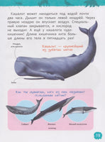 Красная книга мира. Энциклопедия для детского сада