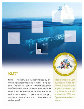 Мир животных с наклейками. Кто живёт под водой? Printed books Мозаика-Синтез