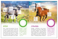 Мир животных с наклейками. Кто живёт в деревне? Printed books Мозаика-Синтез