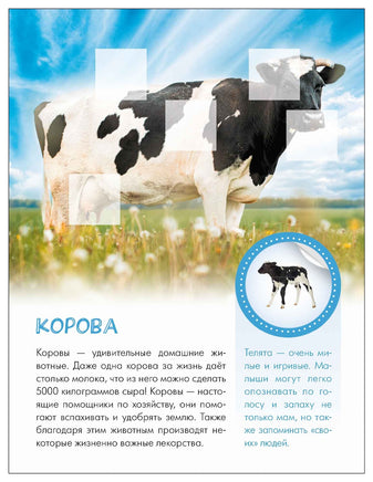 Мир животных с наклейками. Кто живёт в деревне? Printed books Мозаика-Синтез