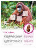 Мир животных с наклейками. Кто живёт в зоопарке? Printed books Мозаика-Синтез