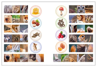 Мир животных с наклейками. Кто живёт в лесу? Printed books Мозаика-Синтез