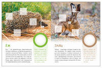 Мир животных с наклейками. Кто живёт в лесу? Printed books Мозаика-Синтез