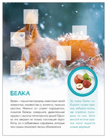 Мир животных с наклейками. Кто живёт в лесу? Printed books Мозаика-Синтез