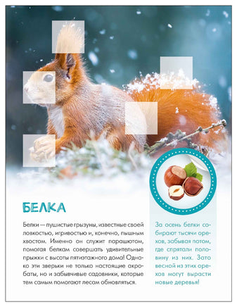 Мир животных с наклейками. Кто живёт в лесу? Printed books Мозаика-Синтез