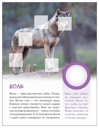 Мир животных с наклейками. Кто живёт в лесу? Printed books Мозаика-Синтез