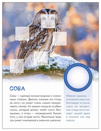 Мир животных с наклейками. Кто живёт в лесу? Printed books Мозаика-Синтез