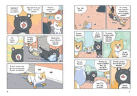 Котёнок Наби. Я умываю лапы!