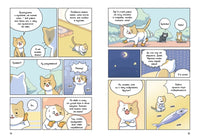 Котёнок Наби. Я умываю лапы!