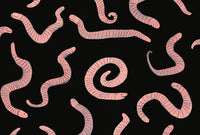 Сегодня я расскажу вам об анаконде. Так Биби Дюмон Printed books Самокат