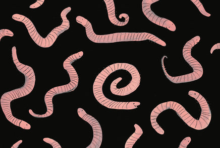 Сегодня я расскажу вам об анаконде. Так Биби Дюмон Printed books Самокат