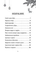 Петронелла и снежная буря. Штэдинг С. Printed books Питер