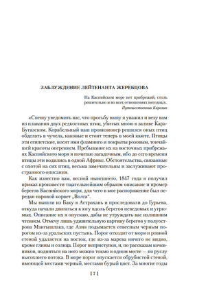 Золотая роза. К. Паустовский Printed books Азбука