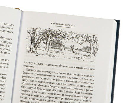 Грозовой перевал. Стихотворения. Бронте Эмили. Printed books Иностранка