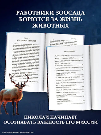 Красавица. Новелизация исторической драмы Printed books АСТ