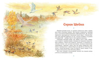 Серая шейка. Рассказы. Мамин-Сибиряк Д. Printed books МАХАОН