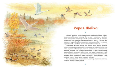 Серая шейка. Рассказы. Мамин-Сибиряк Д. Printed books МАХАОН