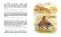 Серая шейка. Рассказы. Мамин-Сибиряк Д. Printed books МАХАОН