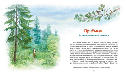 Серая шейка. Рассказы. Мамин-Сибиряк Д. Printed books МАХАОН