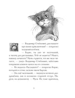 Кот Тихон в поисках города на букву "Эс"