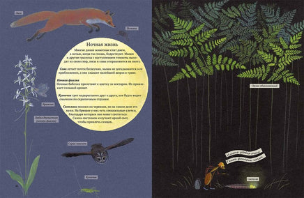 Экспедиция Софи Printed books Белая Ворона