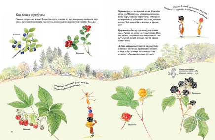 Экспедиция Софи Printed books Белая Ворона
