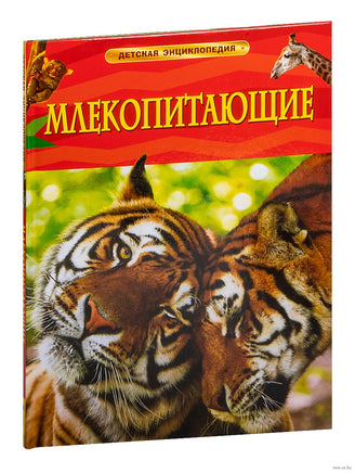 Млекопитающие. Детская энциклопедия школьника Printed books Росмэн Издательство