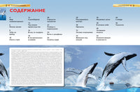 Млекопитающие. Детская энциклопедия школьника Printed books Росмэн Издательство