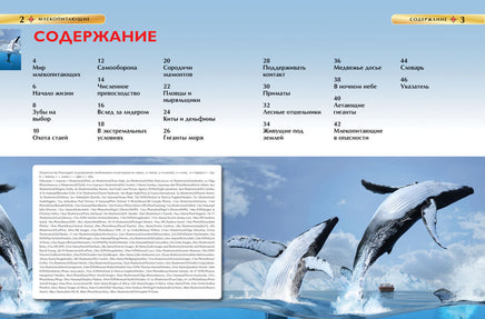 Млекопитающие. Детская энциклопедия школьника Printed books Росмэн Издательство