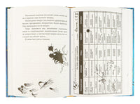 Как приручить дракона. Кн.2. Как стать пиратом Printed books Махаон