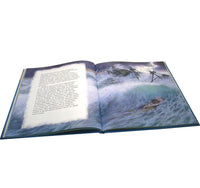 Русалочка. Ганс Христиан Андерсен. Иллюстрации Кристиана Бирмингема Printed books Добрая книга