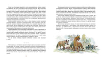 Борьба за огонь. Рони-Старший Ж. Printed books МАХАОН
