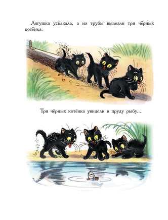 Сказки в картинках. Владимир Сутеев Printed books АСТ