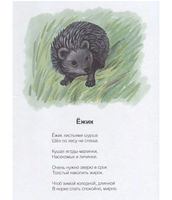На лесной тропинке. Н.В. Кузнецова