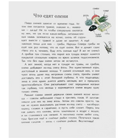 Вот ты какой, северный олень!